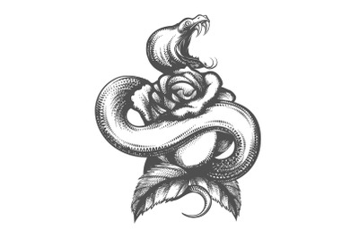 Snake and Rose Flower Tattoo Isolated on White