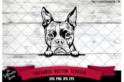 Boston Terrier Peek A Boo | Peekaboo | Peeking Dog Face SVG
