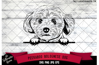 Bolognese Peek A Boo | Peekaboo | Peeking Dog Face SVG for Glowforge