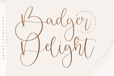 Badger Delight Modern Monoline Script Font