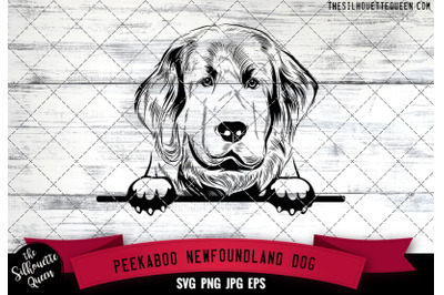Newfoundland Peek A Boo | Peekaboo | Peeking Dog Face SVG