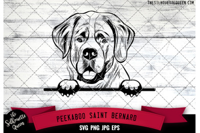 Saint Bernard Peek A Boo | Peekaboo | Peeking Dog Face SVG