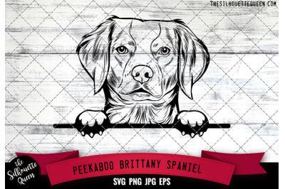 Brittany Spaniel Peek A Boo | Peekaboo | Peeking Dog Face SVG