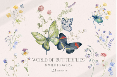 World of Butterflies &amp; Wild Flowers.
