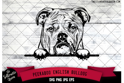 English Bulldog Peek A Boo | Peekaboo | Peeking Dog Face SVG