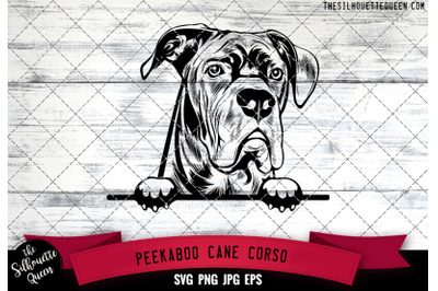Cane Corso Peek A Boo | Peekaboo | Peeking Dog Face SVG for Glowforge