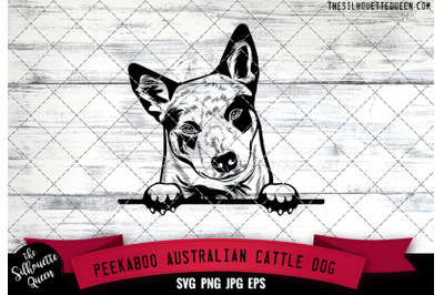 Australian Cattle Peek A Boo | Peekaboo | Peeking Dog Face SVG