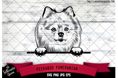 Pomeranian Peek A Boo | Peekaboo | Peeking Dog Face SVG for Glowforge