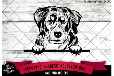 Bernese Mountain Peek A Boo | Peekaboo | Peeking Dog Face SVG