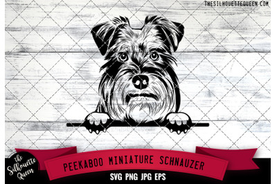 Miniature Schnauzer Peek A Boo | Peekaboo | Peeking Dog Face SVG