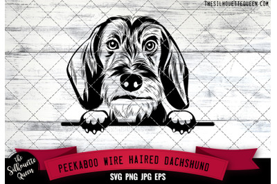 Wire Haired Dachshund Peek A Boo | Peekaboo | Peeking Dog Face SVG