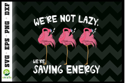 We&#039;re Not Lazy. we&#039;re saving energy