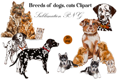 Breeds of dogs, cats Clipart | Sublimation dog PNG