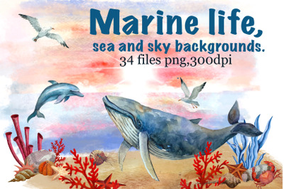 Marine life, sea and sky backgrounds