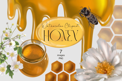 Honey Bee Watercolor clipart PNG, honey pot, honey jar, Summer farm,
