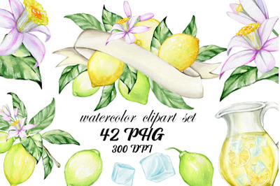 Lemon Watercolor Clipart. Hand painting fruit, Lime, kitchen, Food wal