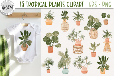 15 Tropical Plants PNG | House Plant Clipart
