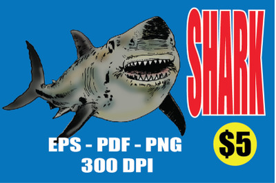 Shark  vector &amp; clipart ink 300 DPi EPS PDF PNG Ai.