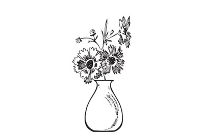 Hand drawn bouquet chrysanthemum in vase. Engraving sketch. Isolated b