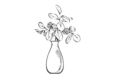 Hand drawn bouquet branches and leaves in vase. Meadow plant engraving