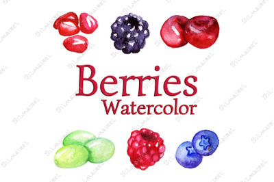 Watercolor berry vector isolated set