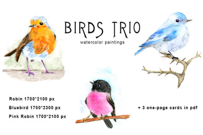 Birds Trio. Watercolor paintings of birds in high quality
