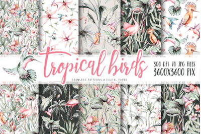 Watercolor tropical birds patterns. Digital tropical pattern