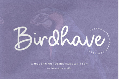 Birdhave Modern Monoline Handwritten Font