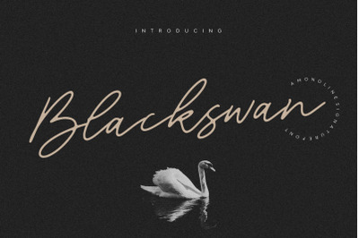 Blackswan Monoline Signature Font