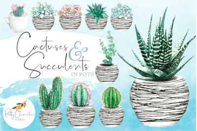 Watercolor Succulent Clipart Set In Pots| Cactus Clipart Png