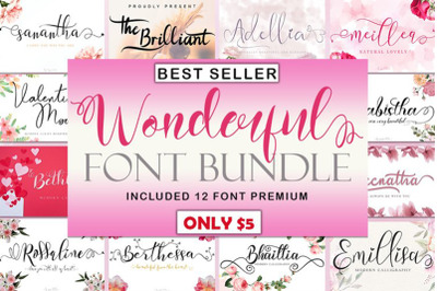 Best Seller Wonderful Font Bundle