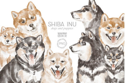 Shiba Inu dogs bundle