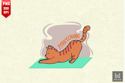 Funny Cat Stretching Yoga Pose