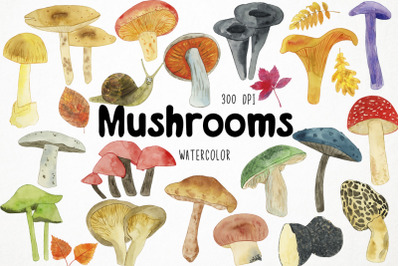 Watercolor Mushrooms Clipart, Mushrooms Graphics, Fungi Clipart Forest