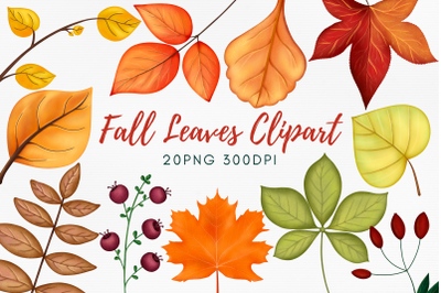 Fall Leaves Clipart Illustration