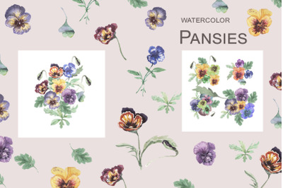 Pansy watercolor
