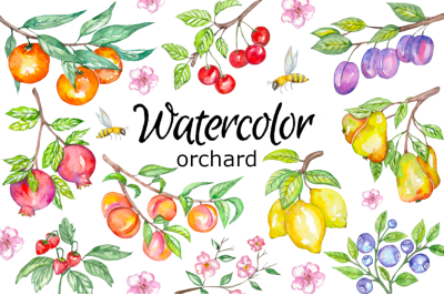 Orchard watercolor clipart