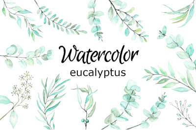 Eucalyptus watercolor clipart