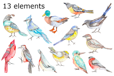 Birds watercolor clipart