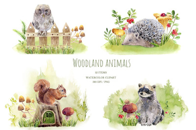 Woodland animals watercolor clipart, raccoon, owl, squirrel