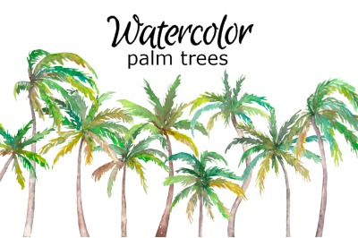 Palm trees watercolor clipart