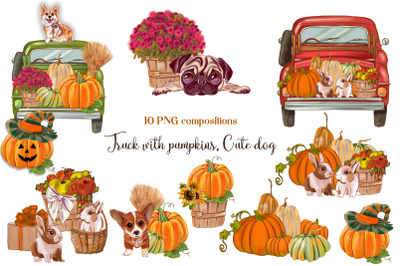 Sunflower pumpkin picker, Cute dog autumn PNG compositions