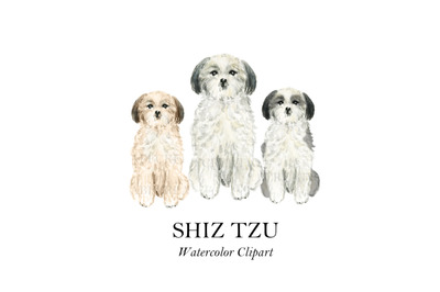 Shiz Tzu Watercolor Dog illustration Clip art Shiz Tzu Cream Apricot B