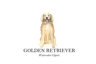 Golden Retriever Watercolor Dog illustration Clip art