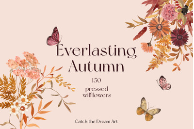 Everlasting Autumn Pressed Wildflowers Watercolor Clipart