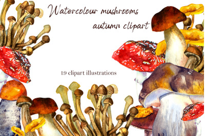 Watercolor forest mushrooms clipart, Autumn Clipart