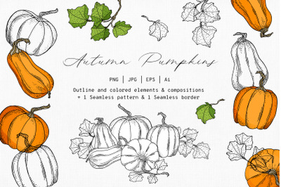 Fall Pumpkins. Hand Drawn Autumn Outline and Colored Vector Clipart