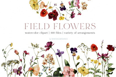 Field Flowers Watercolour Clipart