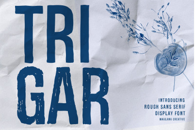 Trigar Rough Sans Serif Display Font