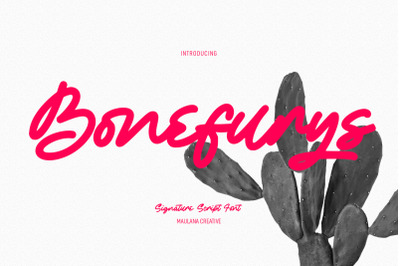 Bonefurys Handwritten Script Font